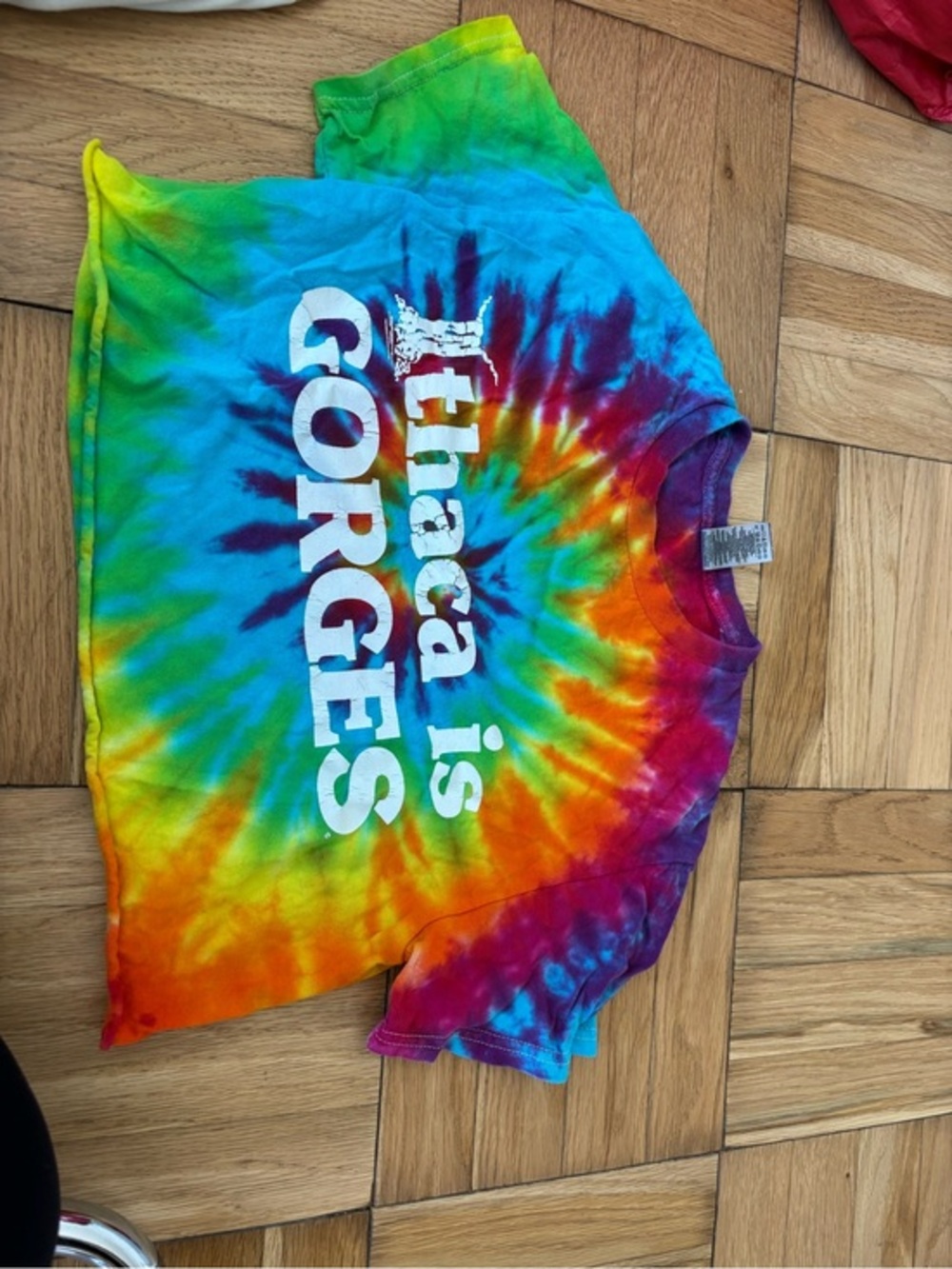 Tie-Dye Crop Top - Multicolor "Ithaca is Gorges" Graphic